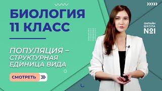 Популяция – структурная единица вида. Видеоурок 5. Биология 11 класс