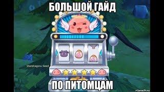 [Ragnarok M Eternal Love] Большой гайд по питомцам. Как поймать, Топ фарм.