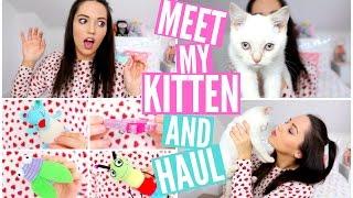 Meet My Kitten & Kitten Haul! 