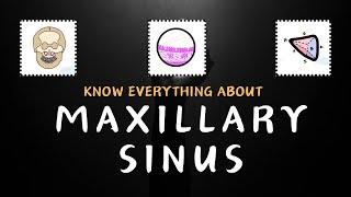 Space inside your Maxilla: Know everything about Maxillary Sinus