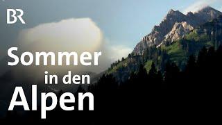 Alpine Jahreszeiten: Der Bergsommer in den Allgäuer Alpen | Bergauf-Bergab | BR