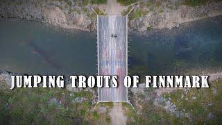 Jumping trouts of Finnmark - Fishing in northern wilderness [ENG SUB]