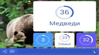 игра для мальчиков 94 процента картинка медведица с медвежатами ответы 42 уровень