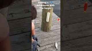 Fishing With The Sergio 