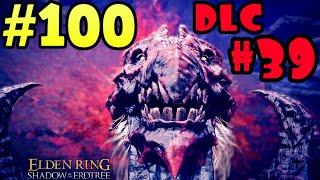 Elden Ring DLC 1st Playthrough Shadow of the Erdtree - Part 100 | DID I OOPSIE THE DRAGON PRIESTRESS