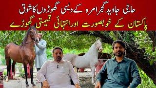 Discover the Secrets of Beautiful Farmhouse Culture in Pakistan | Attractive Hores of Haji Javed