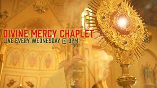 Divine Mercy Chaplet & Adoration Live @ St. Patrick's