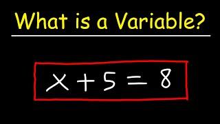 What is a Variable?