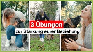 Diese 3 Übungen stärken die Beziehung zu deinem Hund