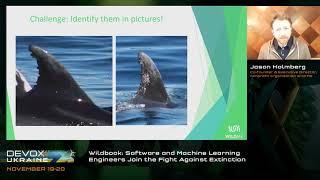 DevoxxUA 2021. Jason Holmberg. Wildbook: Software and Machine Learning Engineers Join the Fight...