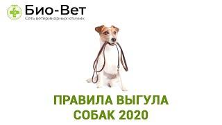 Правила Выгула Собак 2021 / Где Можно И Нельзя Выгуливать Собаку / Био-Вет