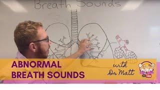 Abnormal Breath Sounds | Respiratory System