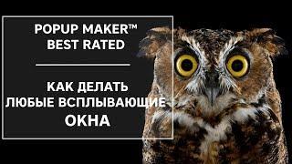 Как сделать всплывающее окно. Настройки Popup Maker