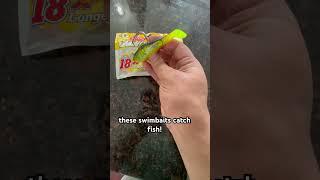 catch a 5 pounder using these #fishing #bassfishing #fish #fishinglures #sportfishing #carp #catfish