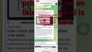 Lambo raul signals trading forex