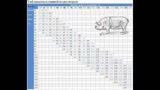Сколько весит свинья средняя масса в разном возрасте.