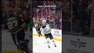Name a better sport #nhl #funny #stanleycupfinals