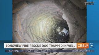 WATCH THIS: East Texas firefighters save dog trapped in well