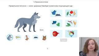 Онлайн-олимпиада Заврики по окружающему миру, пробный тур: разбор заданий