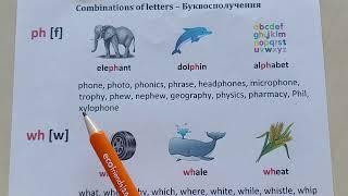 phonics ph / wh / who / wr