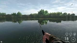 Fishing Planet (0.7.6) Флорида - уникальный Павлиний Басс на воблер