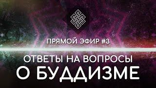 НАРА ЛОКА / ПРЯМОЙ ЭФИР #3 Ответы на вопросы о буддизме