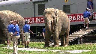 Ringling Brothers Circus Train and Animal Walk at Hershey