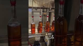 A Special Look Into Our Bottling Process at the Ugly Bunny Winery!