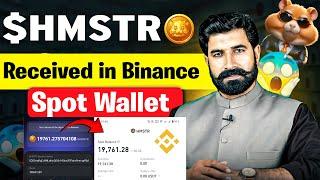 Hamster Tokens Received in Binance Spot Wallet | Hamster Kombat Airdrop Update | $HMSTR | Albarizon