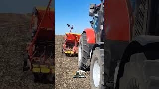 Посев рапса трактором Case Puma 210 и сеялкой Vaderstad Rapid