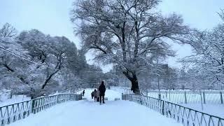 Зима пришла в Санкт-Петербург. 15.12.24. Московский Парк Победы. Видеограф на Моноколесе!