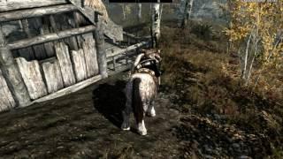 TESV Skyrim Прохождения: Глава 3 Часть 12 Красноводное Логово