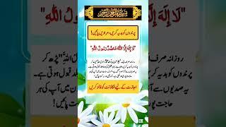 Wazifa for Hajat | Parindon KO Hadiya kre aur Muradein  #ubqari #shorts #trending #youtubeshorts