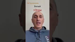 Учим Грузинский Язык. Белый