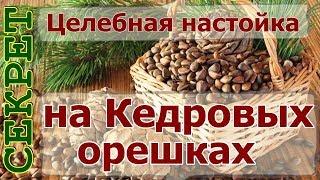 Рецепт целебной настойки на кедровых орешках