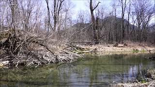 Stiller Bach - Entspannung - Natur