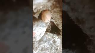 Enjoy the beauty of the  river and cave