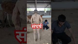 Power energy machine Desi Tarzan #tarzan #desitarzan #hanumanji