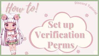 ・ How to set up verification perms | Discord Tutorial | mswannnyy