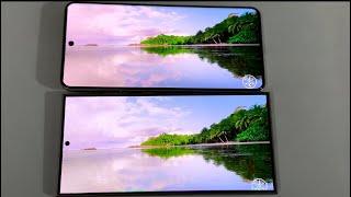 Samsung Galaxy S24 Ultra Vs Vivo X200 Pro Display Comparison