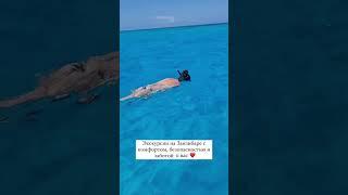 Экскурсии на Занзибаре ️#занзибар #zanzibar #танзания #tanzania