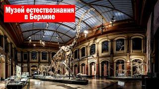 Берлин. Музей естествознания Museum für Naturkunde