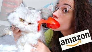 TESTING WEIRD AMAZON CAT PRODUCTS