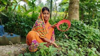 পুকুর পাড়ে হয়ে থাকা থানকুনি পাতা দিয়ে বানিয়ে ফেলুন দারুন এক রেসিপি।।Thankuni patar recipe