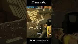 Оса на Границе - Rainbow Six Siege #shorts #rainbowsixsiege #tipsandtricks