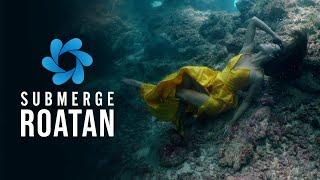 Submerge Underwater: Roatan 2022