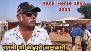 Ransi Horse Show में भाग लेंगे इस बार एक हज़ार से ज़्यादा घोड़ें