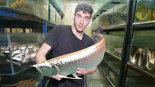 *LARGEST* Aquarium Fish Exporter!! (CRAZY) 800+ Species in South America