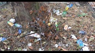 Communities and Local Government Select Committee - Litter inquiry