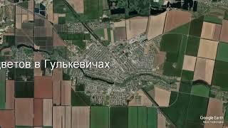 Доставка цветов в Гулькевичах - Заказ букетов от компании Скорая подарочная помощь